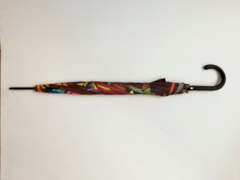 Parapluie long automatique bordeaux imprimé bouquet coloré & papillon - Léger & résistant
