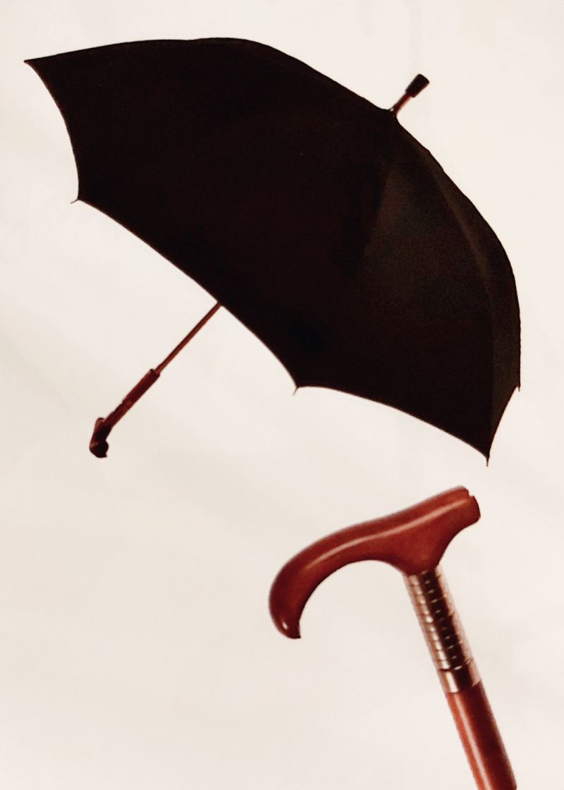 Parapluie-canne.