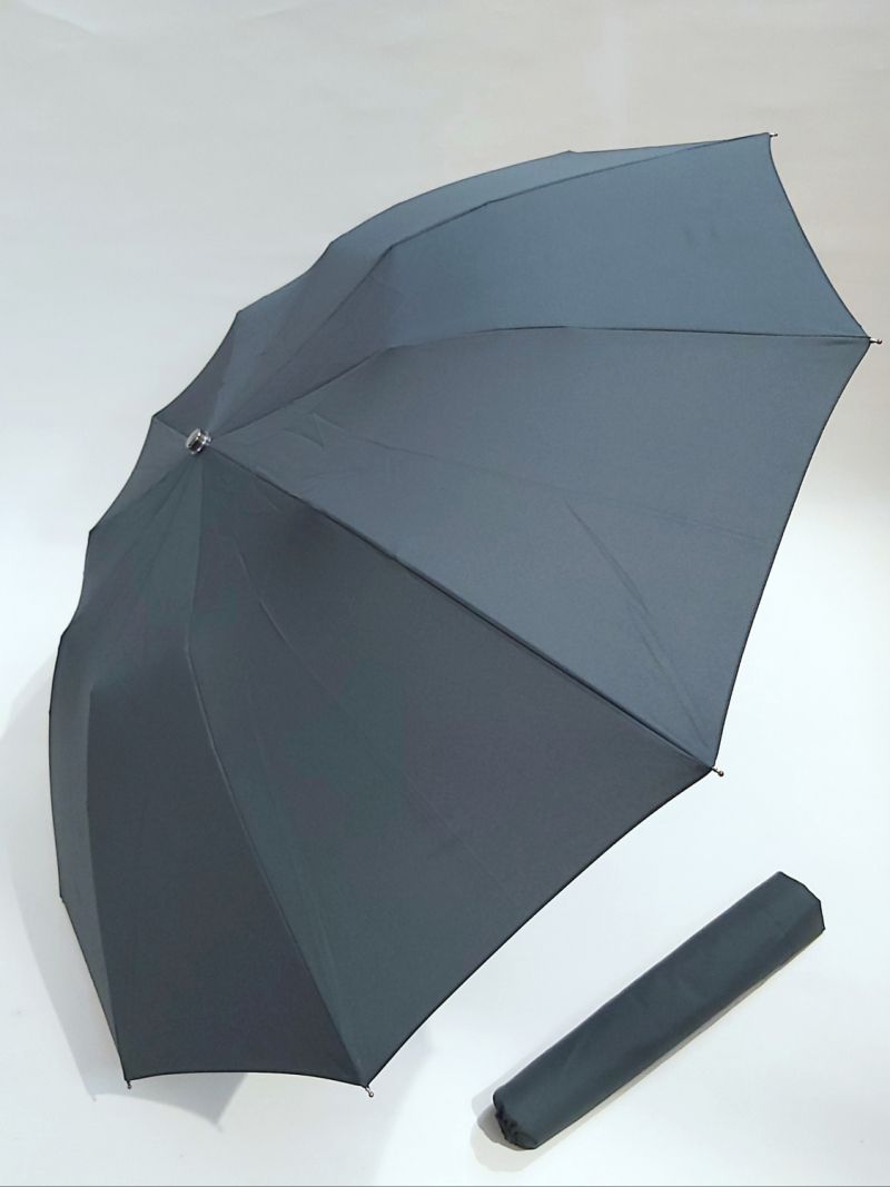 Parapluie pliant anti vent vert automatique 10 baleines poignée dragone noire français, grand & durable