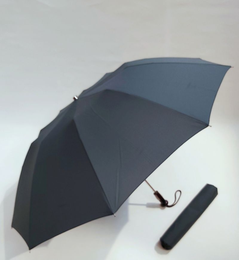 Parapluie pliant anti vent vert automatique 10 baleines poignée dragone noire français, grand & durable