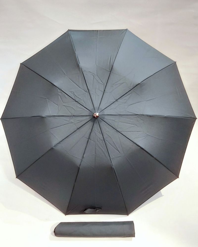 Parapluie pliant anti vent vert automatique 10 baleines poignée dragone noire français, grand & durable