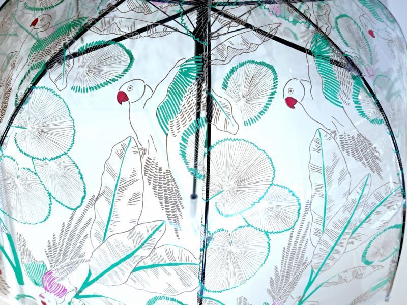 Parapluie cloche transparent plantes exotiques & perroqet Smati Bulle - léger et solide