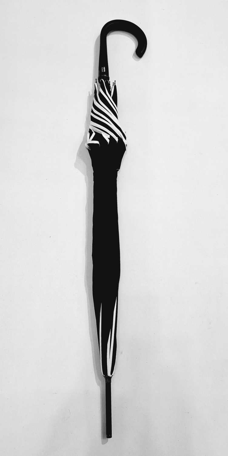 Parapluie long automatique en forme de fleur uni noir biais blanc P.Cardi - Résistant & Léger