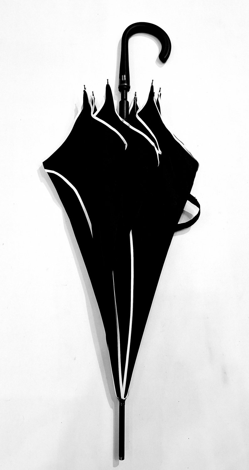 Parapluie long automatique en forme de fleur uni noir biais blanc P.Cardi - Résistant & Léger