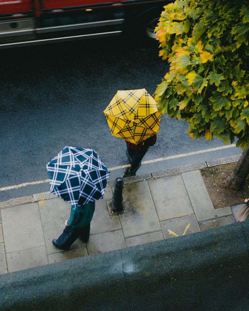 Parapluie Anatole mini plat de poche imprimé écossais - jaune & noir - FINSBURY - Léger 220g & solide 7 br TOP