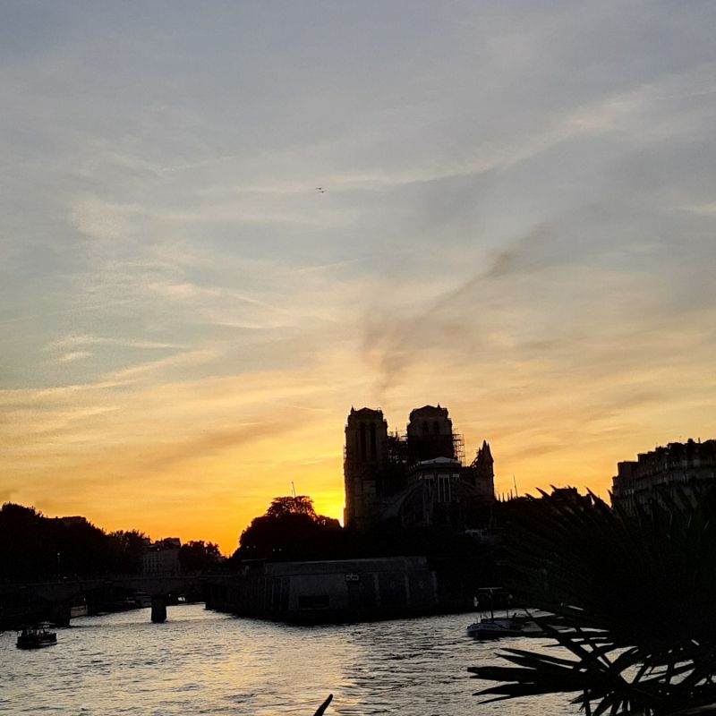 Parapluie long manuel impression la Parisienne ivoire Guy de Jean, léger et solide