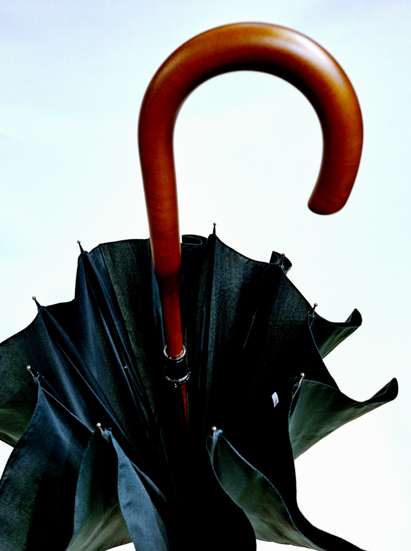 Parapluie de marche ANGLAIS uni vert Forest manuel - Bois hêtre - Grand 10 branches - Elégant & français